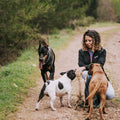 No-Pull Padded Dog Harness