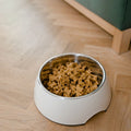 Stainless Steel Slow Feeder Bowl